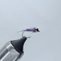 Duracell Nymph