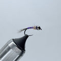 Purple Rainbow Warrior