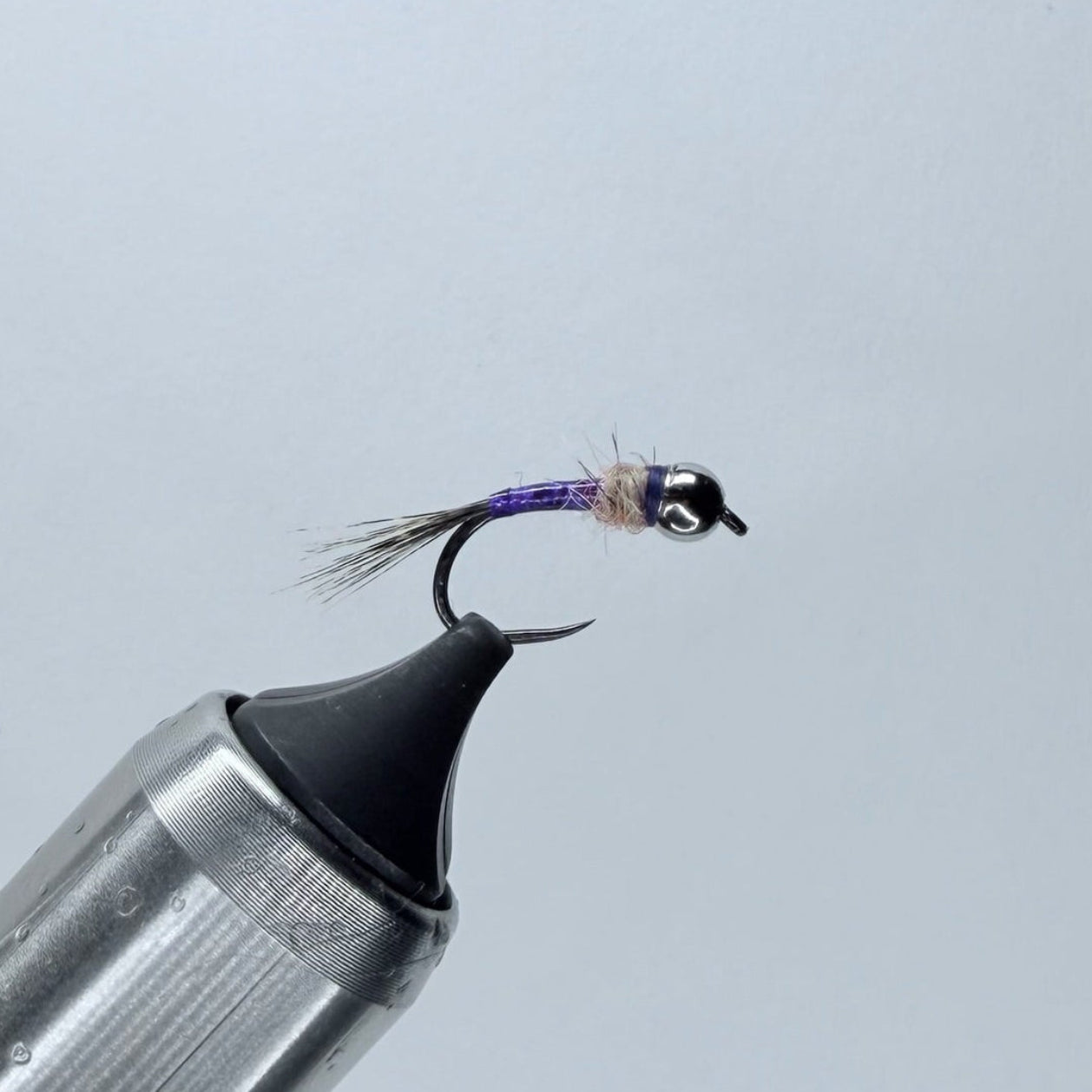 Purple Rainbow Warrior