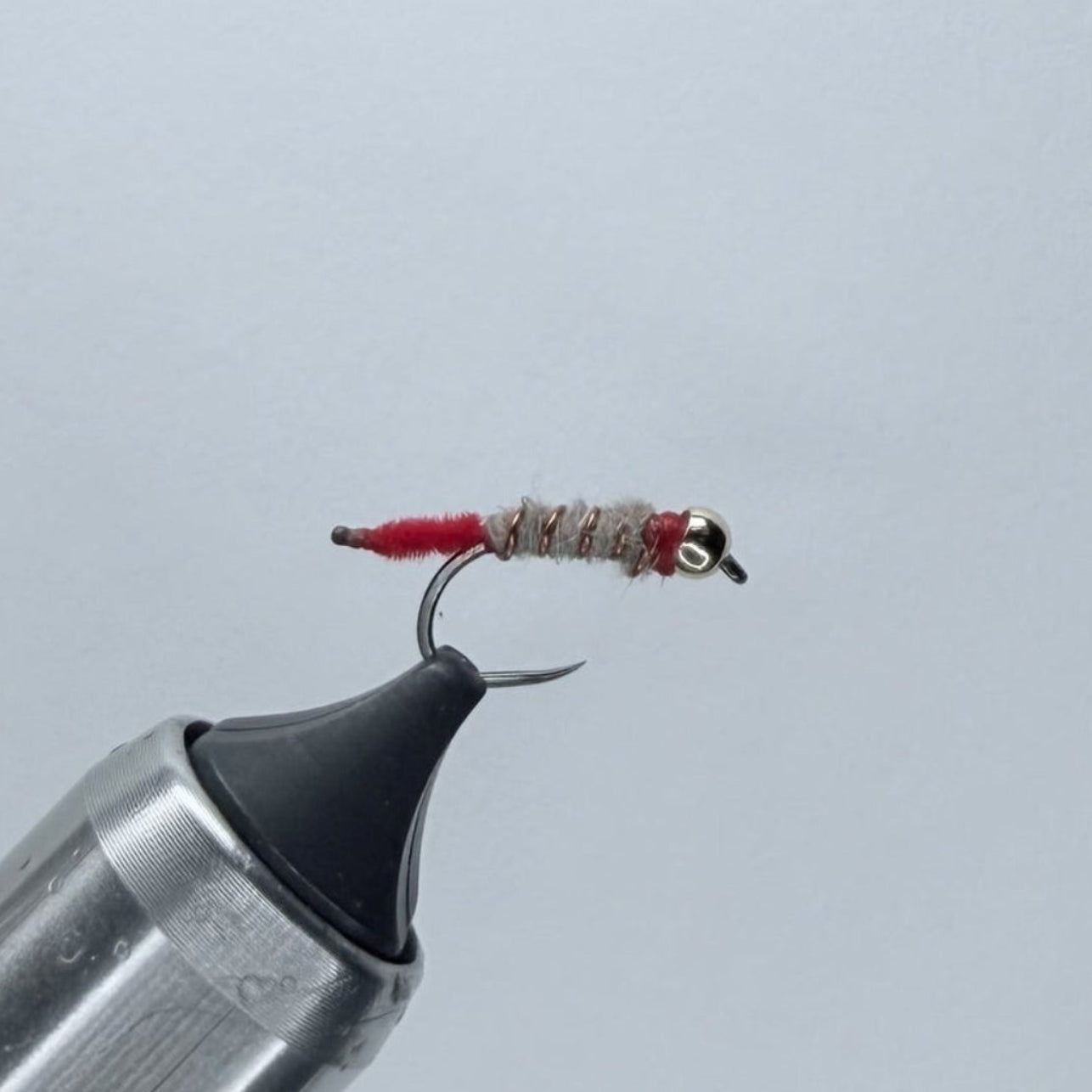 Ugly Walt's Worm