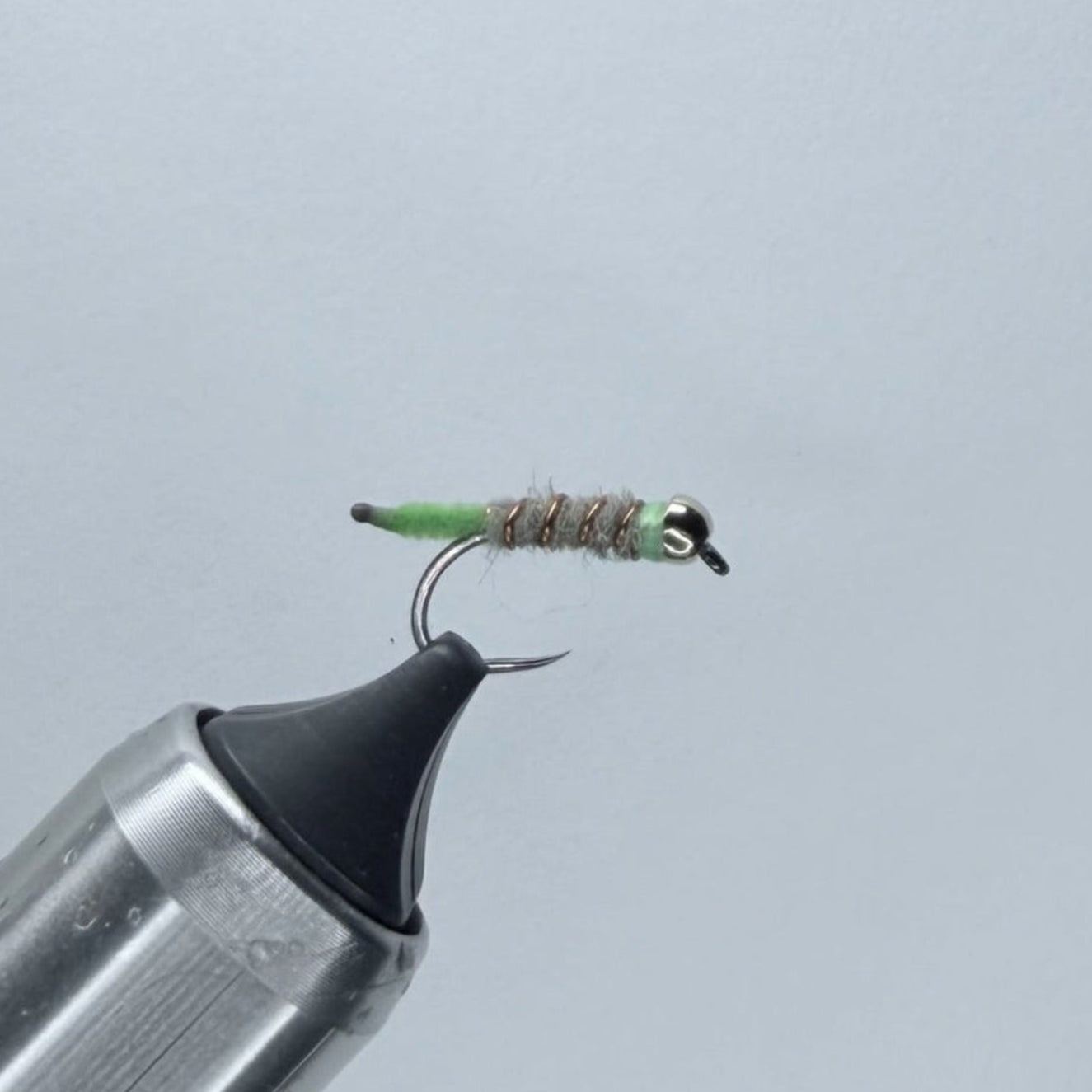 Ugly Walt's Worm