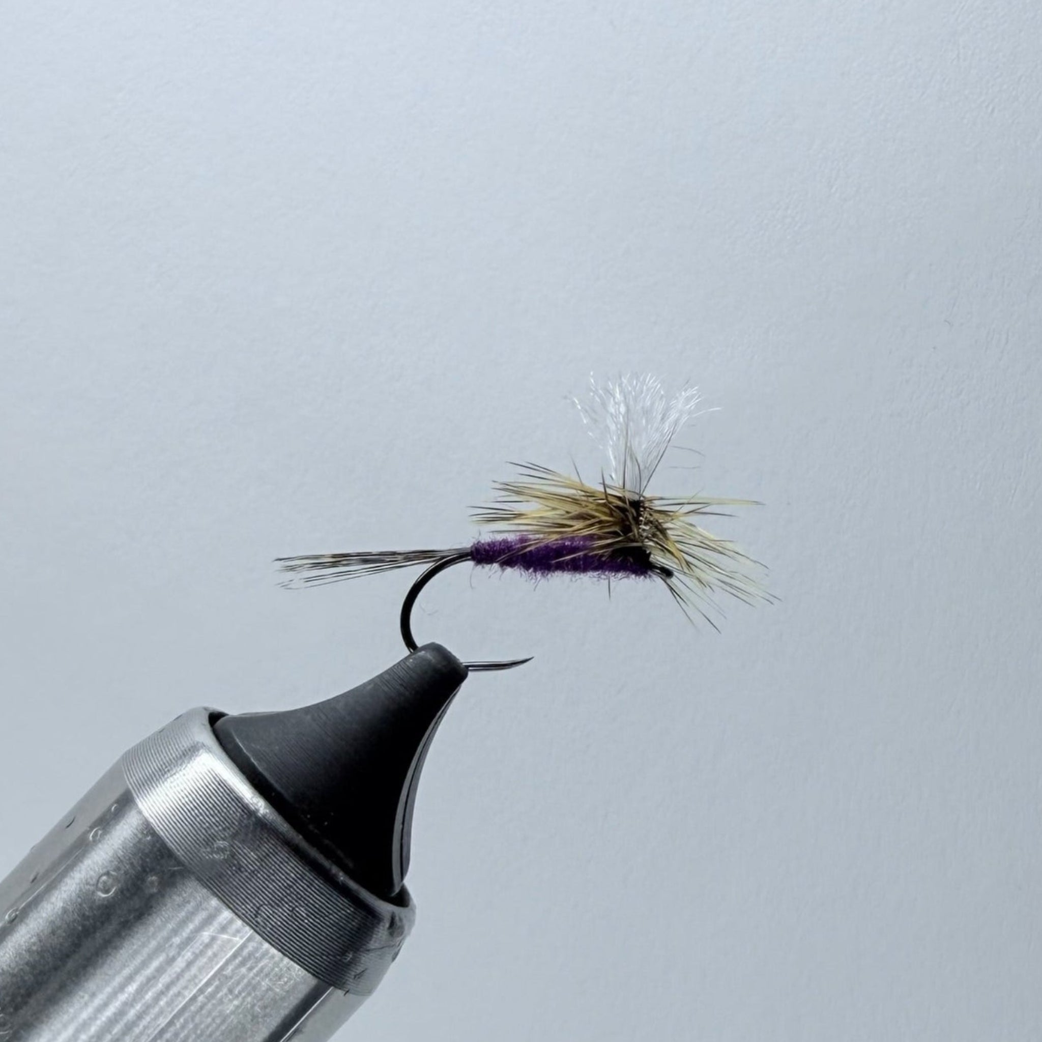 Fishing fly, purple body, golden hackle, spotted tail and white poly post