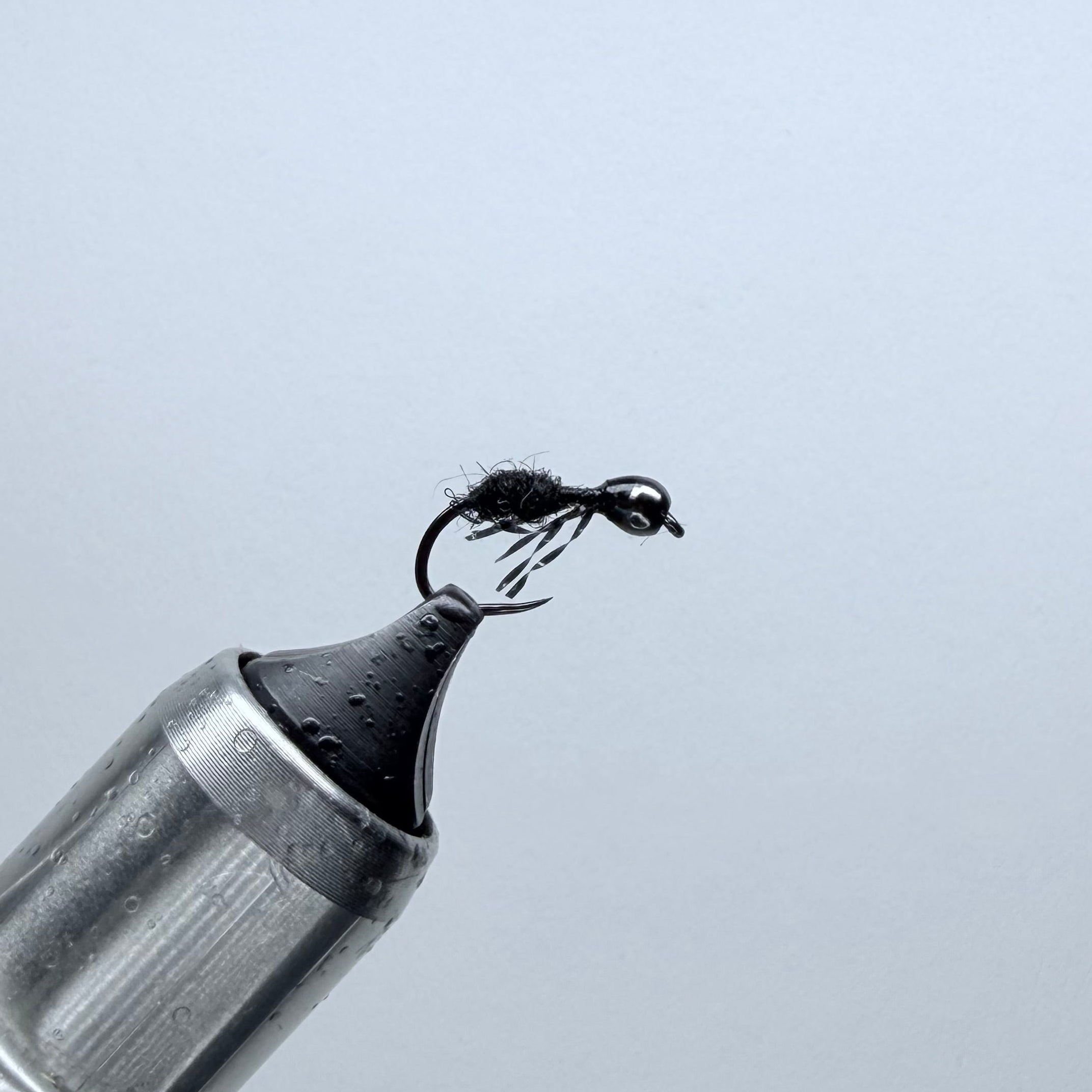 Sunk Ant