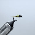 Lt. Dan Stone Fly Nymph