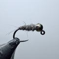 Walt's Worm