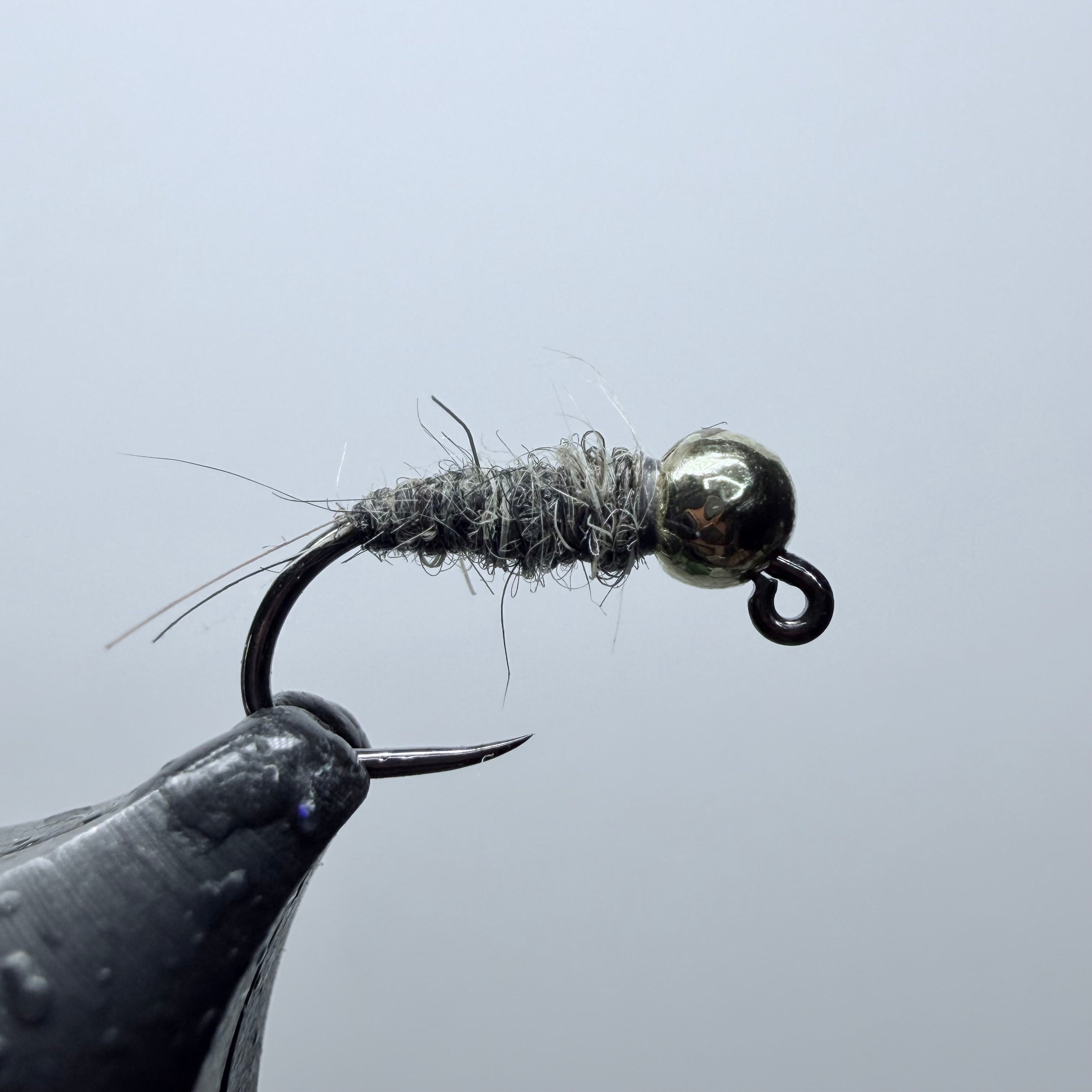 Walt's Worm