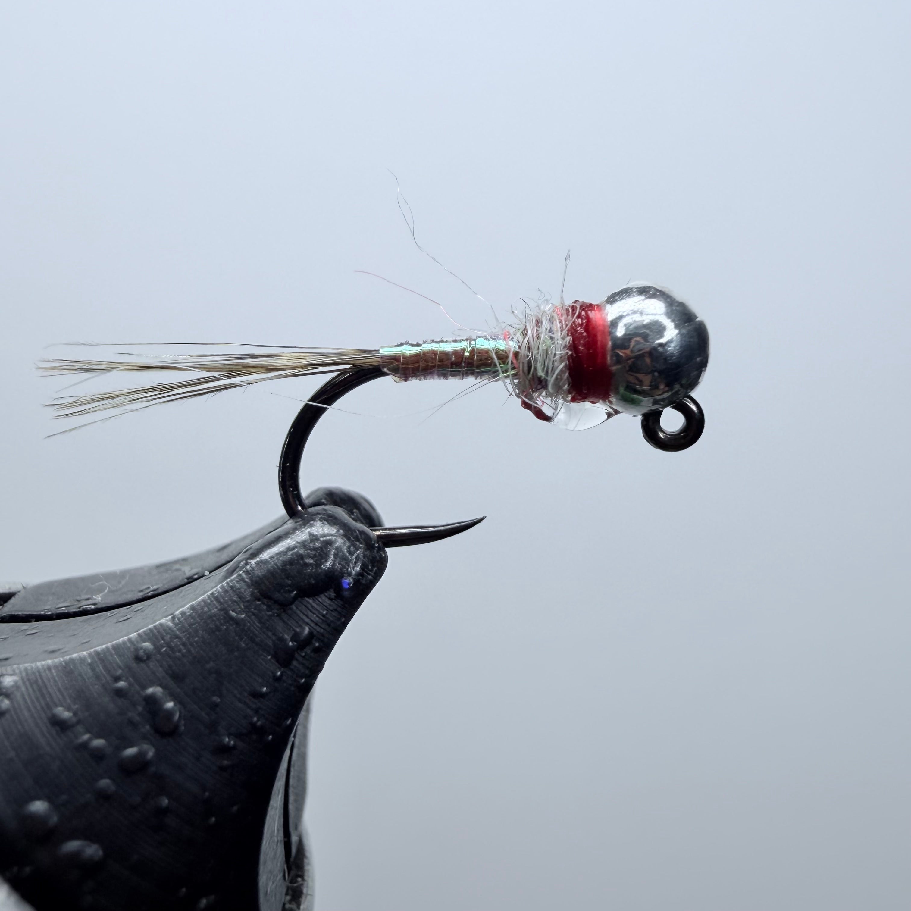 Rainbow Warrior