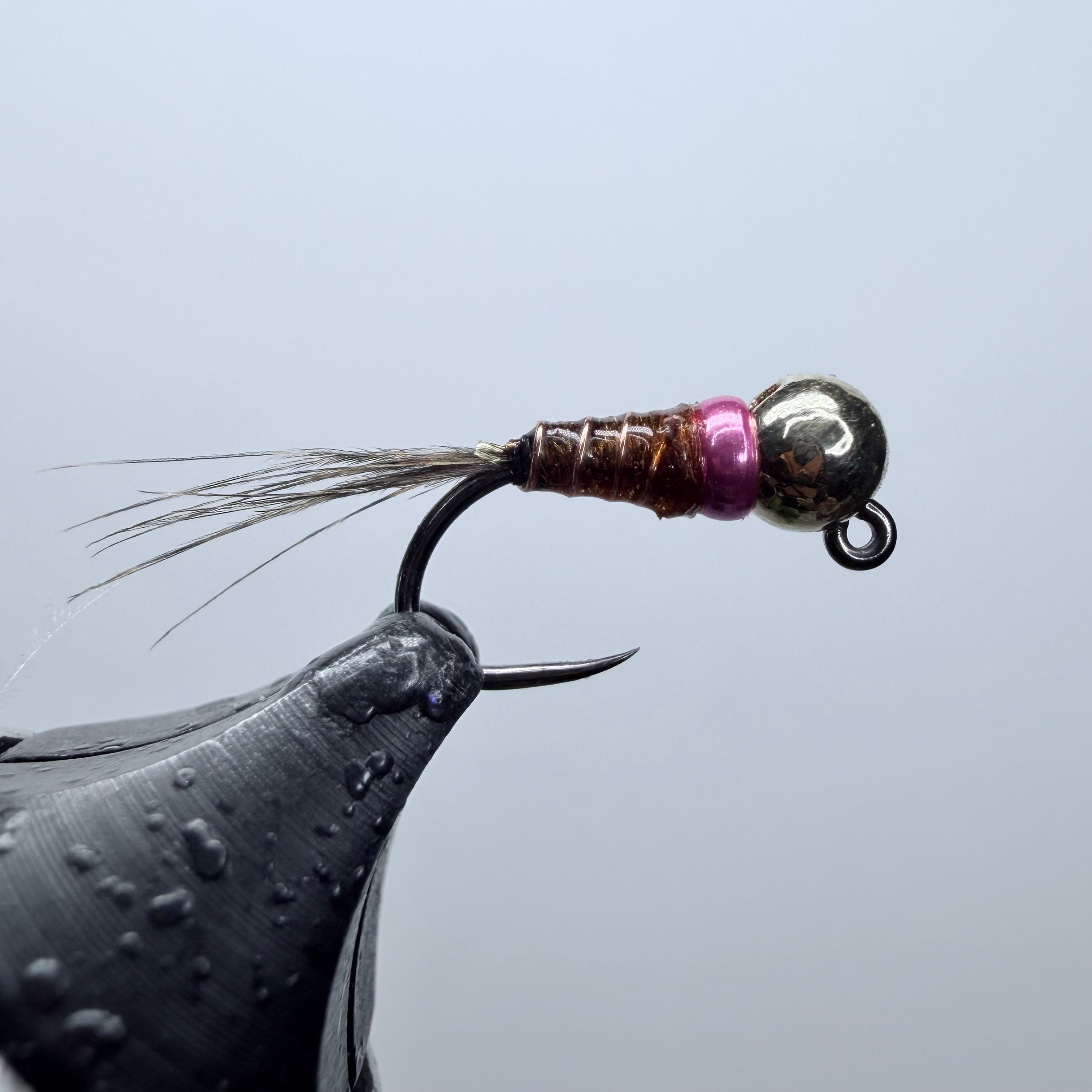 Banded Frenchie Pro 2
