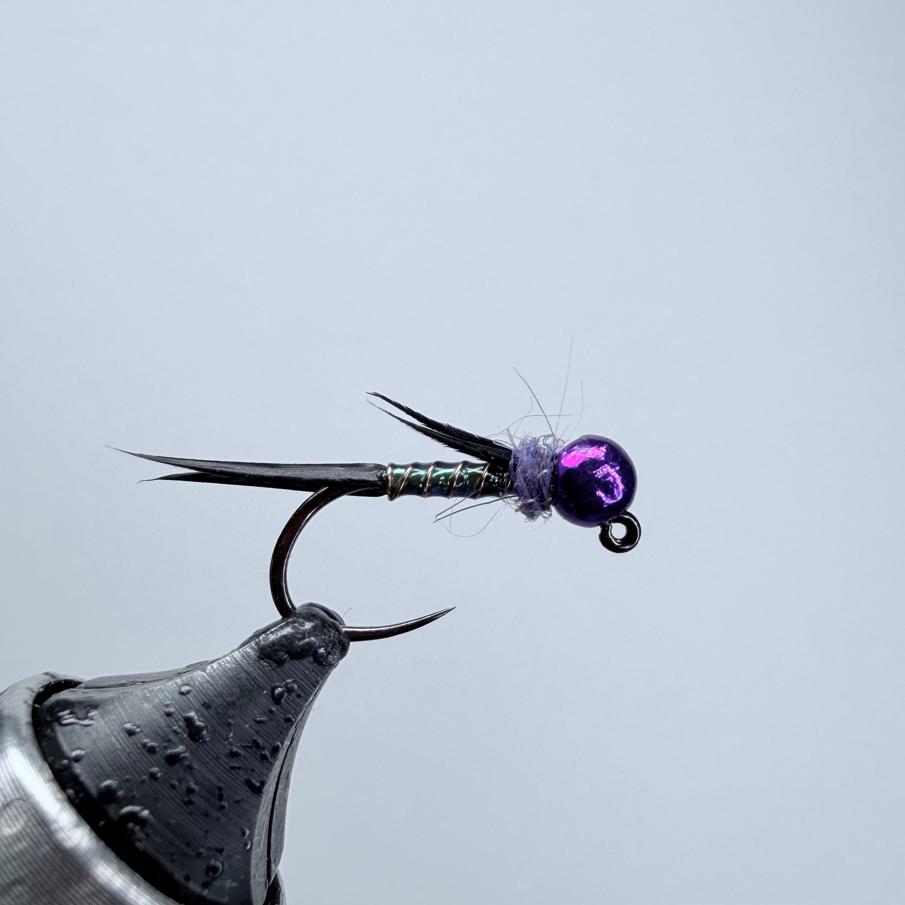 Purple Prince