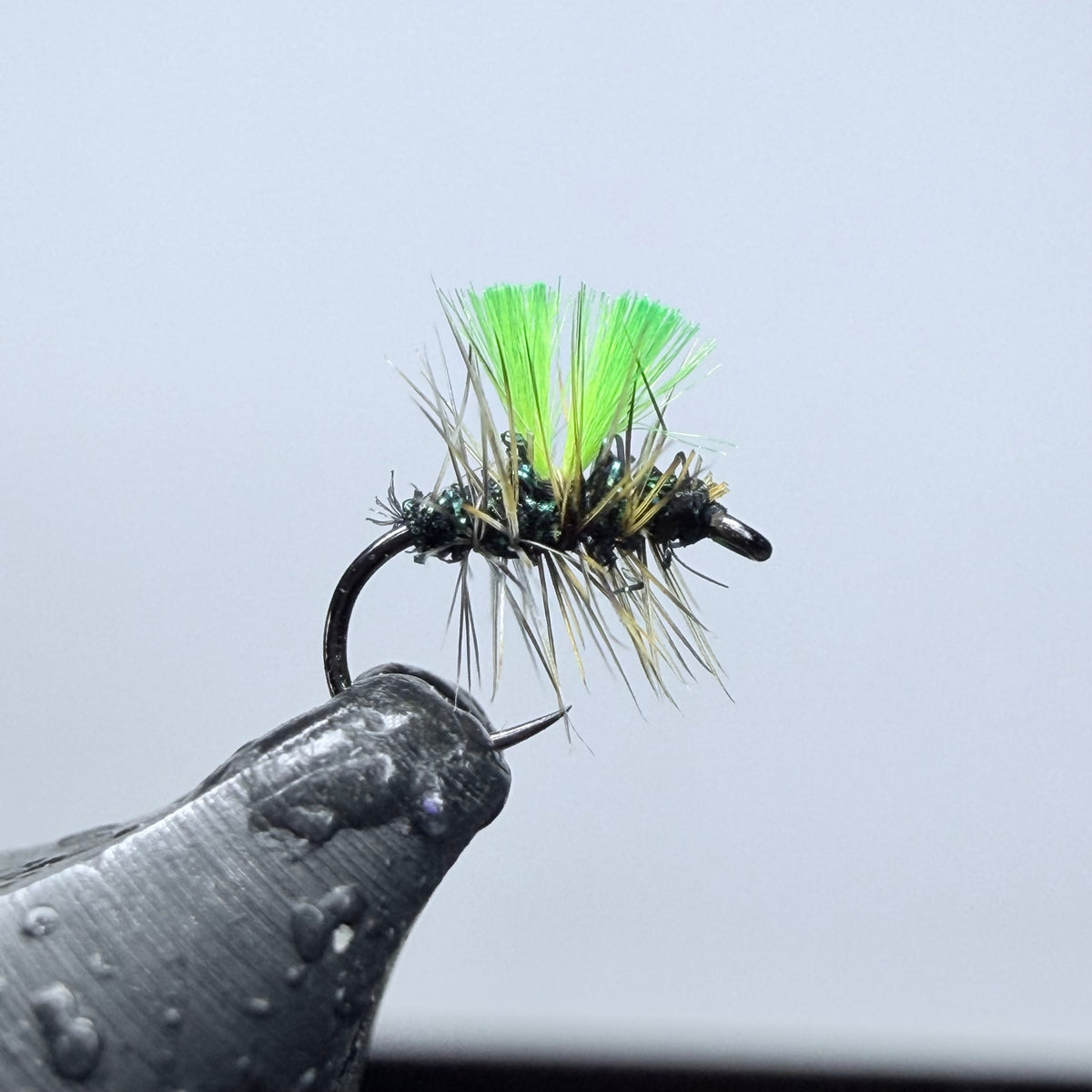 Ty's Gnat