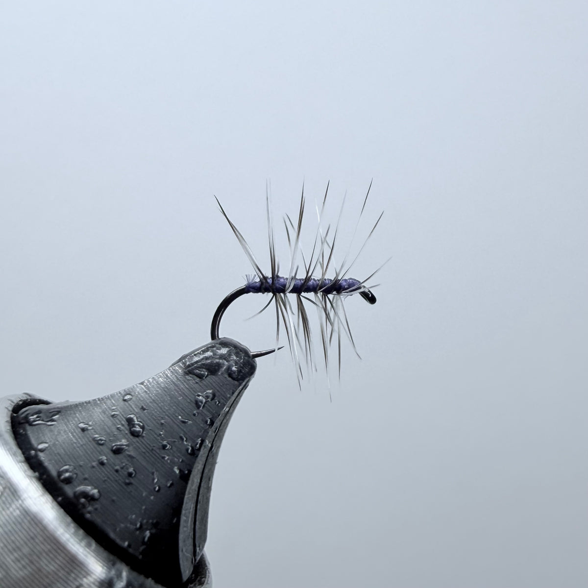 Asher Dry Fly