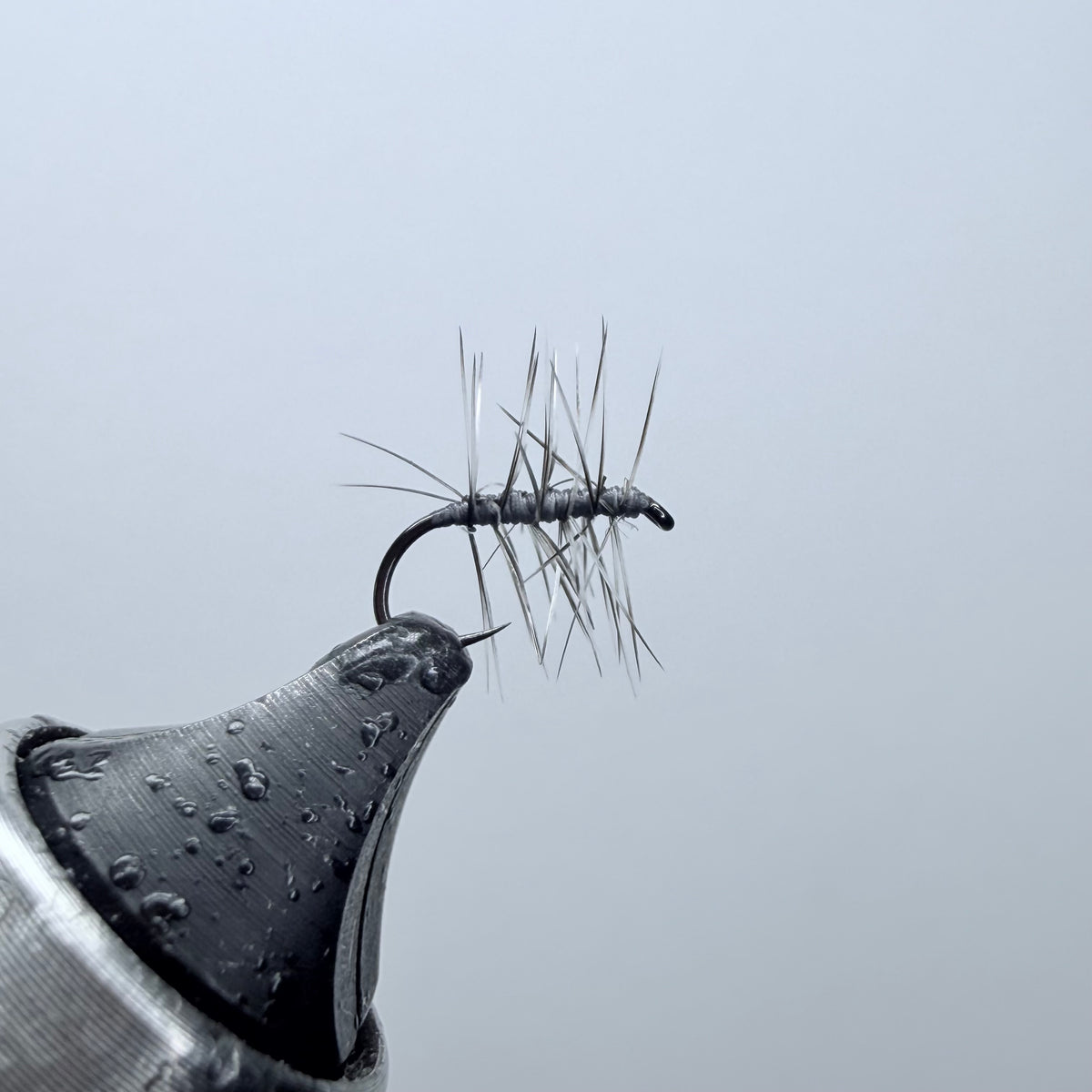 Asher Dry Fly