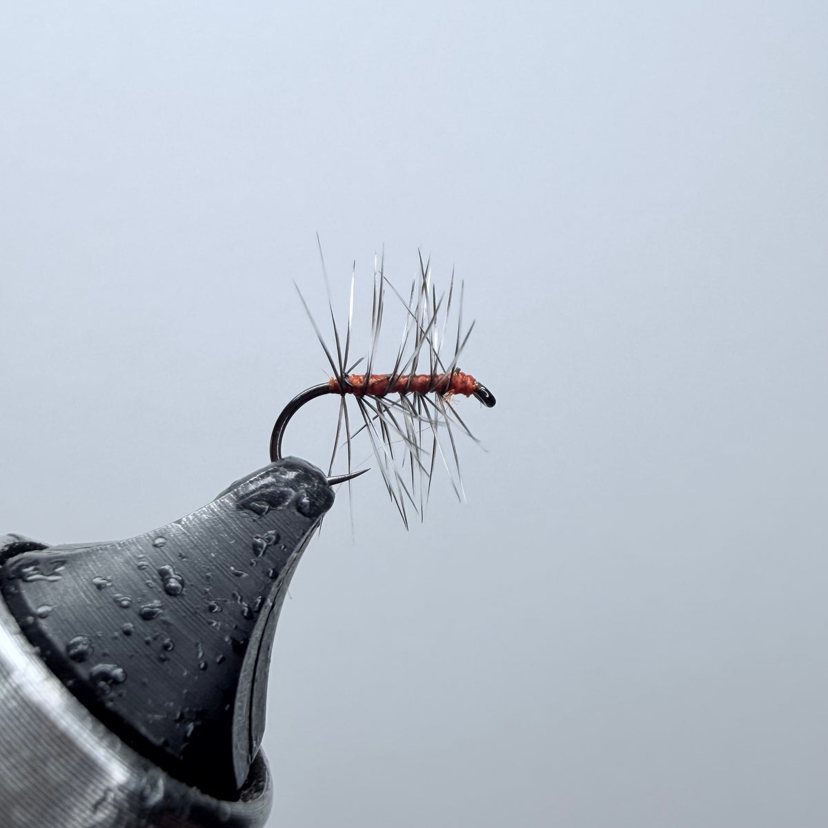 Asher Dry Fly