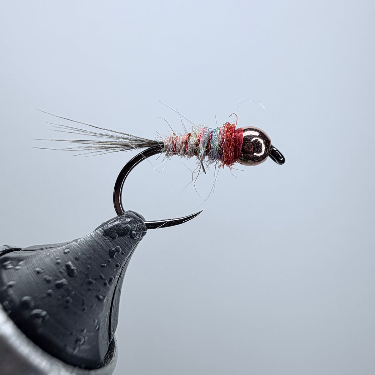 Trout Nom Nom