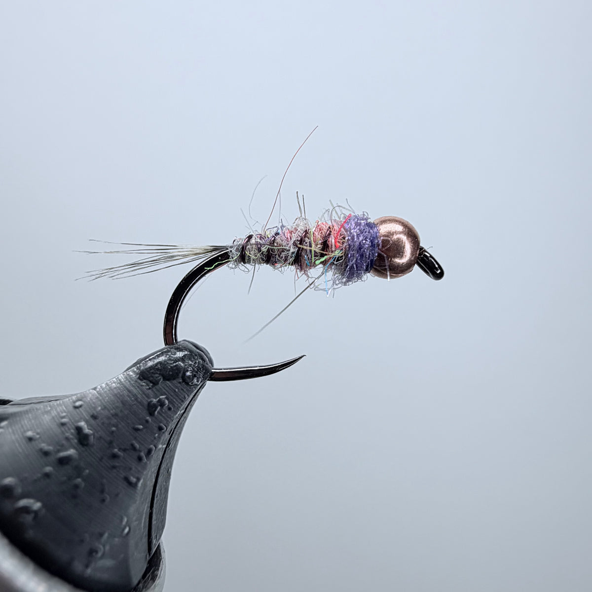 Trout Nom Nom