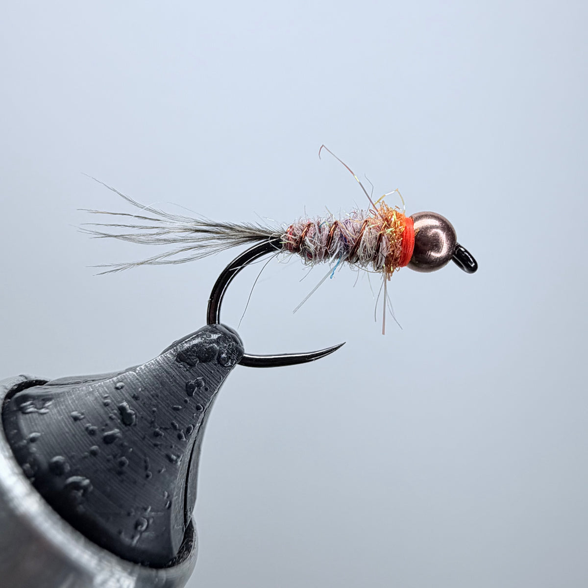 Trout Nom Nom
