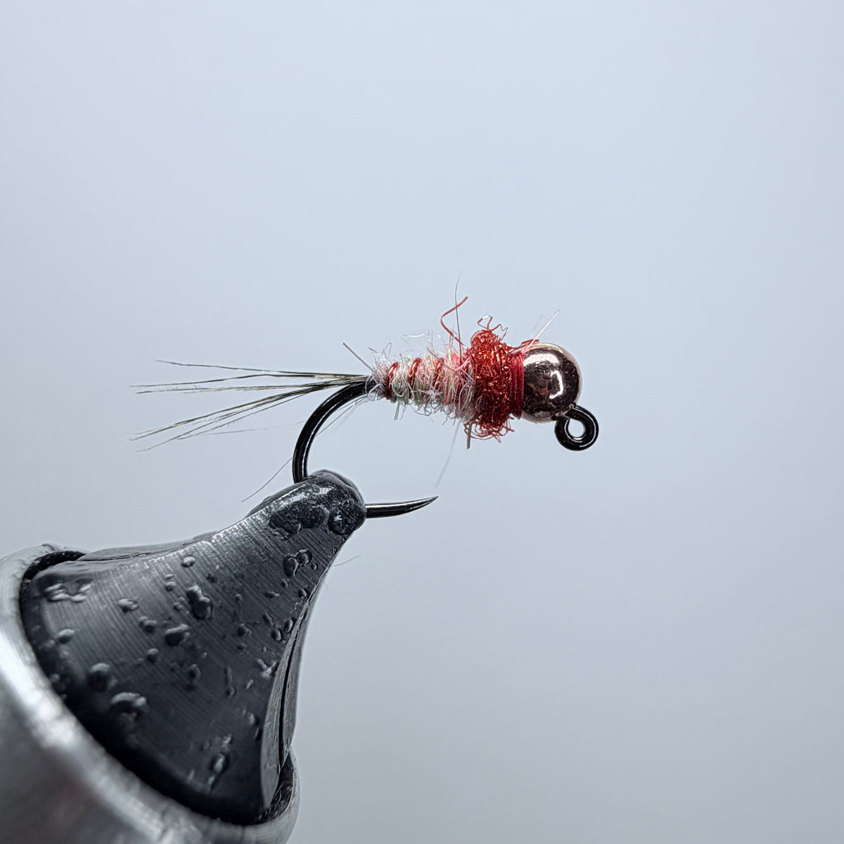 Trout Nom Nom