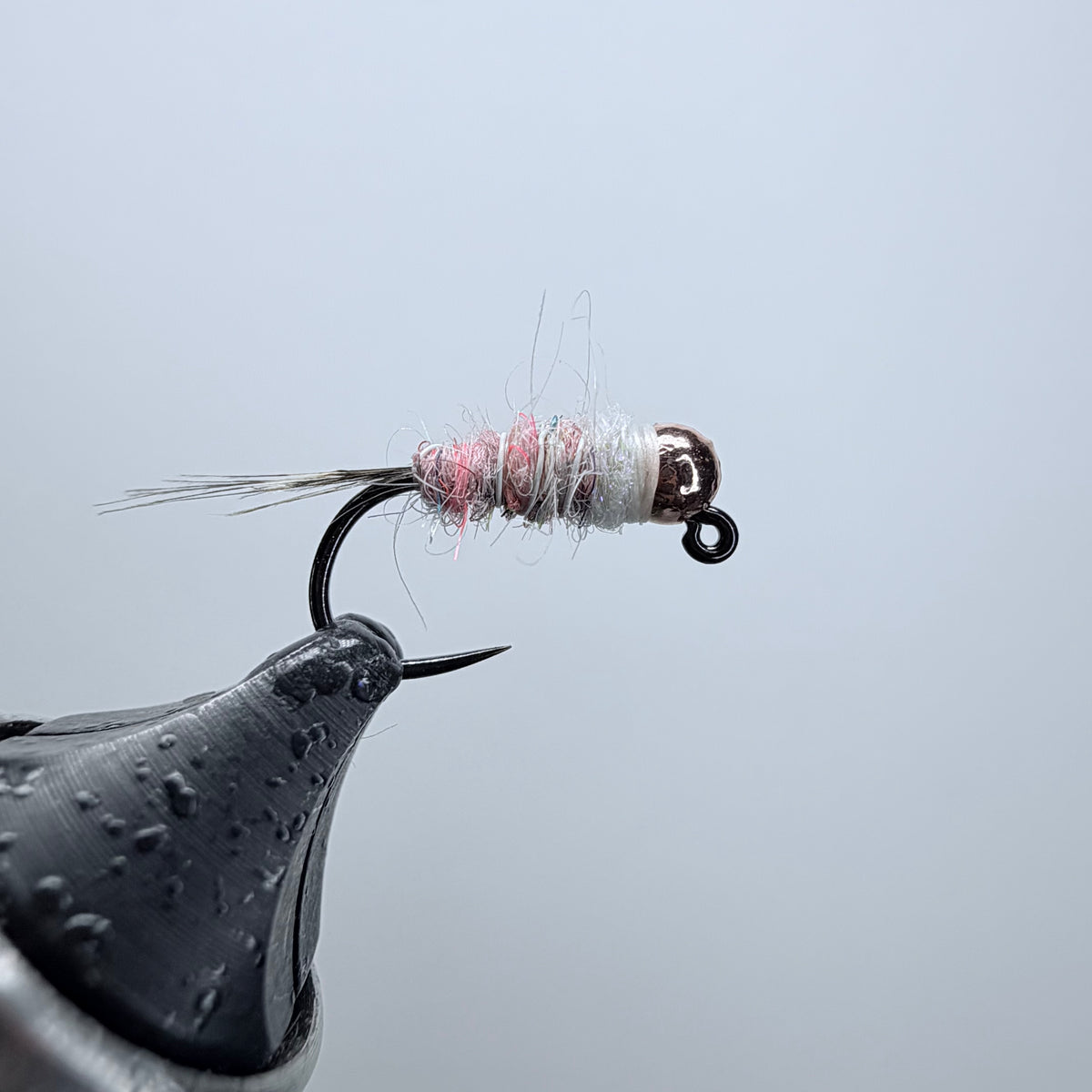 Trout Nom Nom
