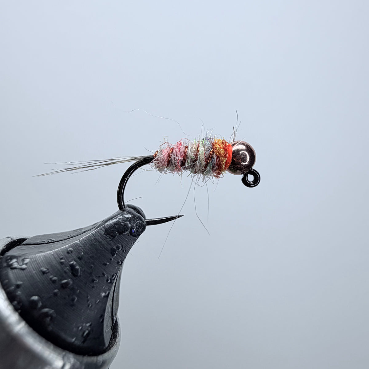 Trout Nom Nom