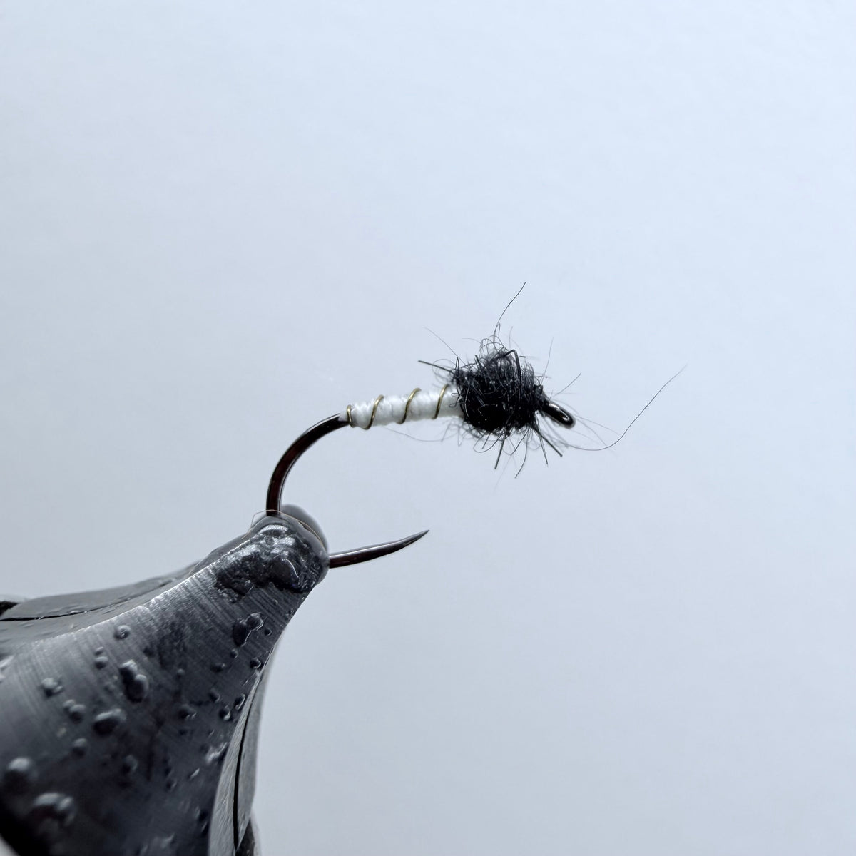 Miracle Nymph