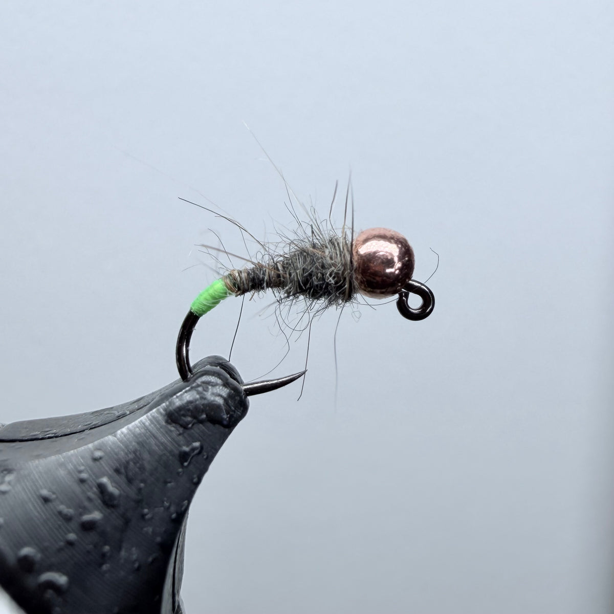 Peek-A-Boo Caddis