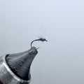 In-The-Film CDC Midge