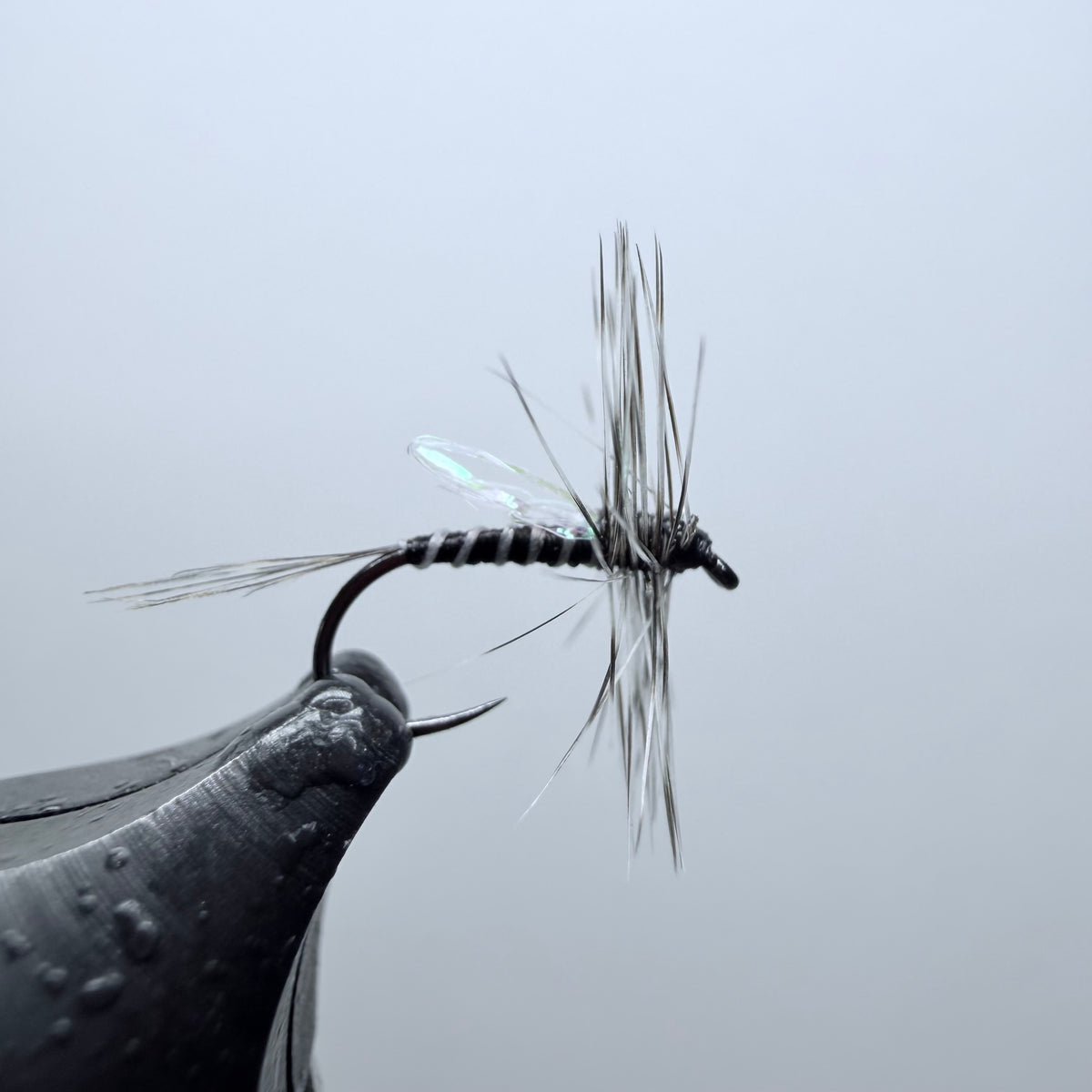 Ty's Mosquito