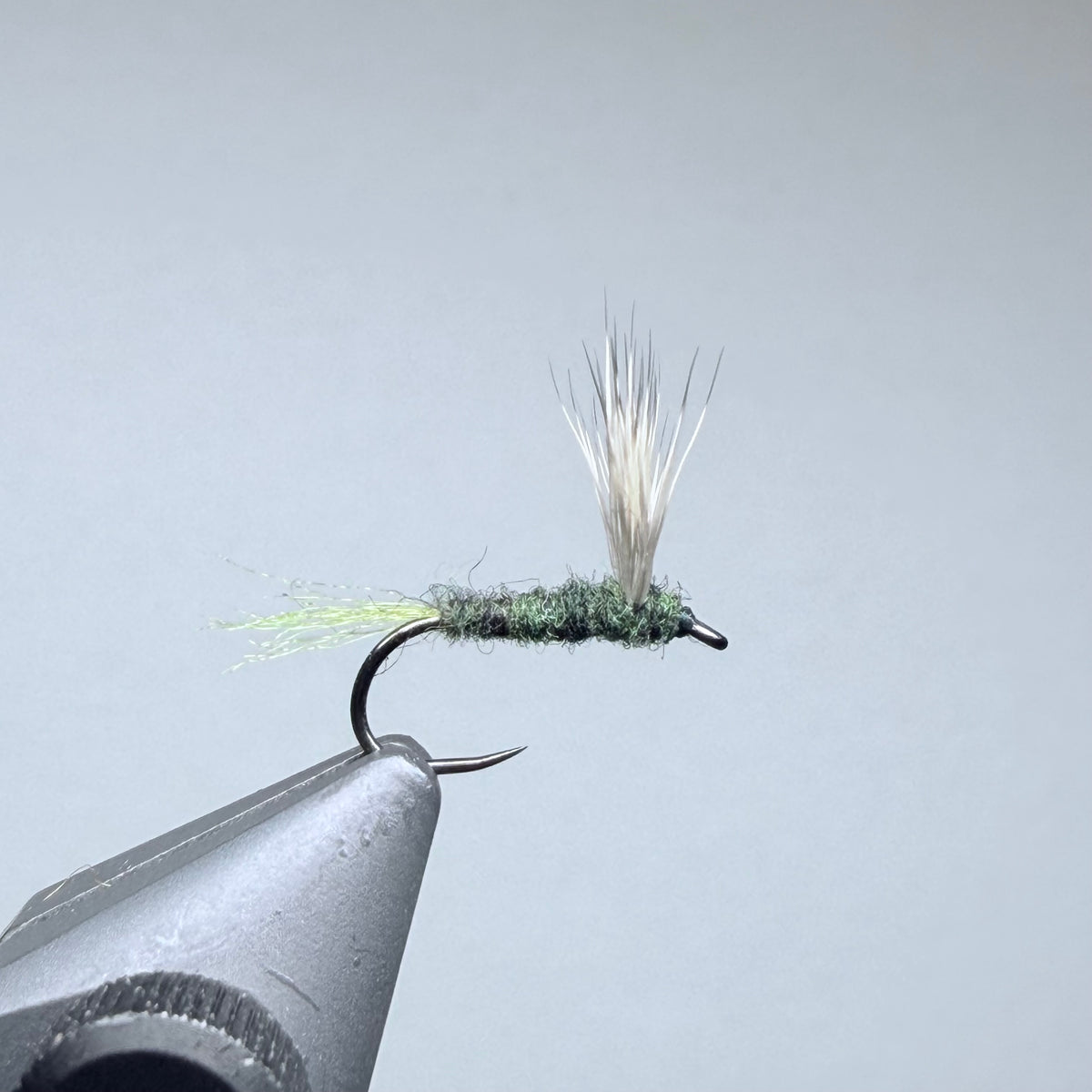 BWO Sparkle Dun