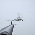 BWO Parachute Dun