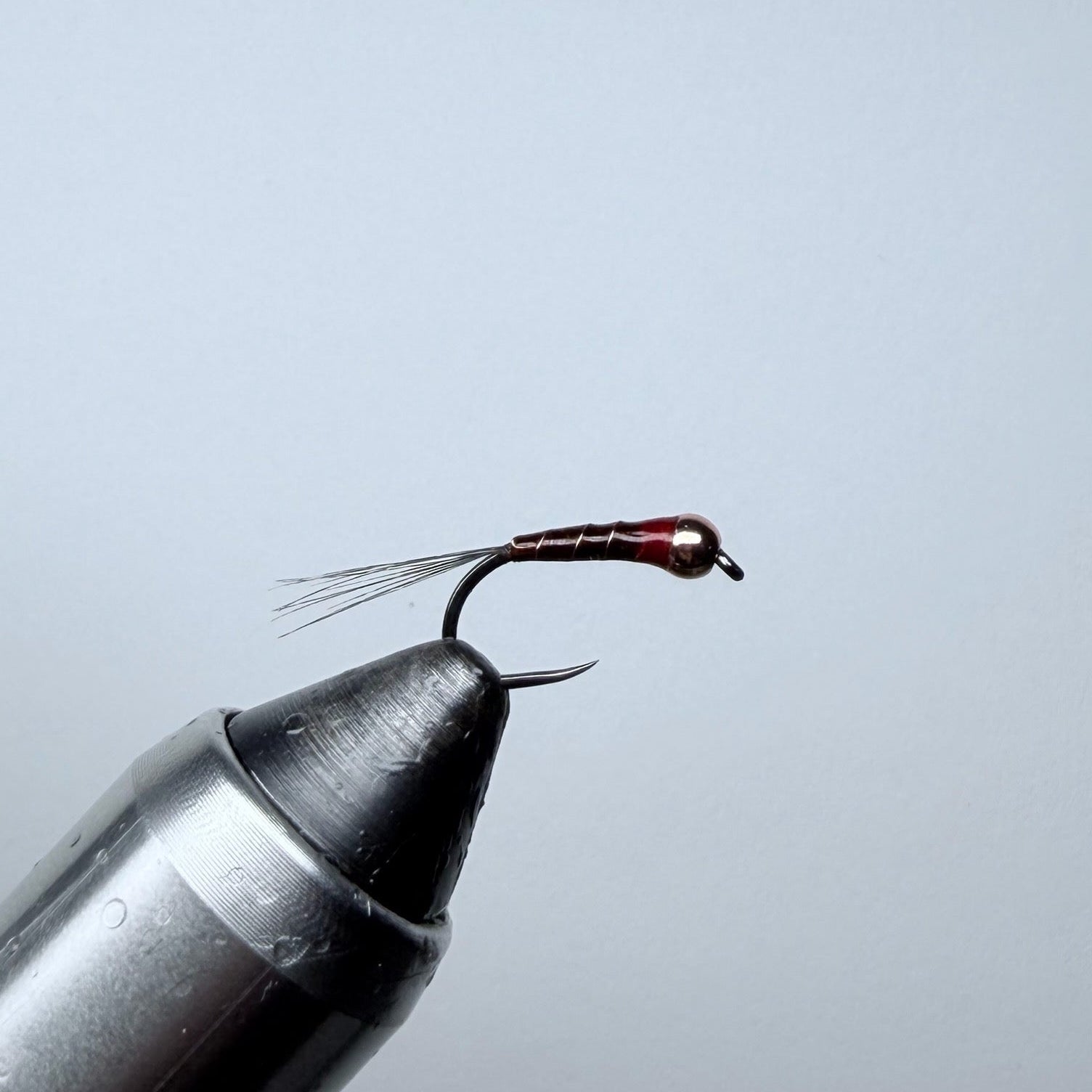 Brown Perdigon with Hotspot