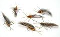 Small Zirdle Bug