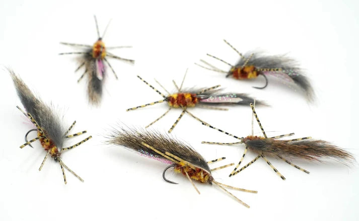 Small Zirdle Bug