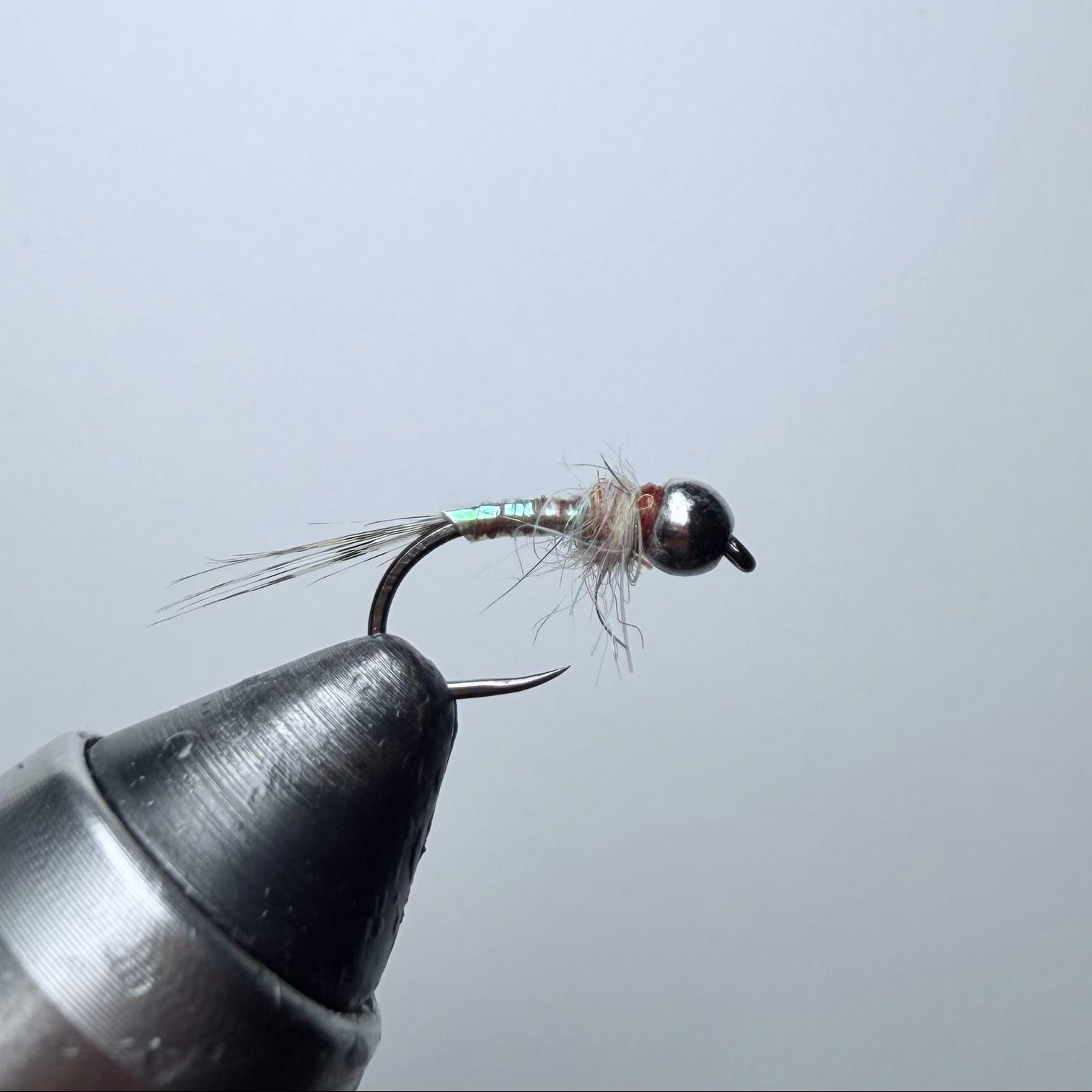 Rainbow Warrior Nymph