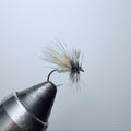 St. Vrain's Caddis