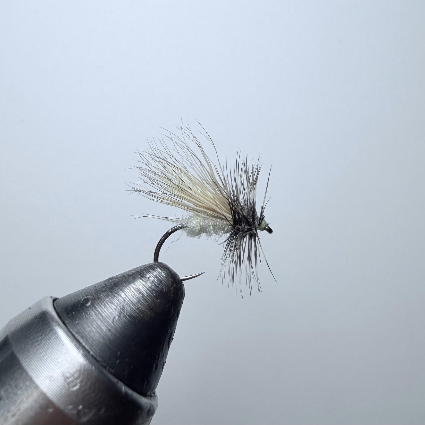 St. Vrain's Caddis